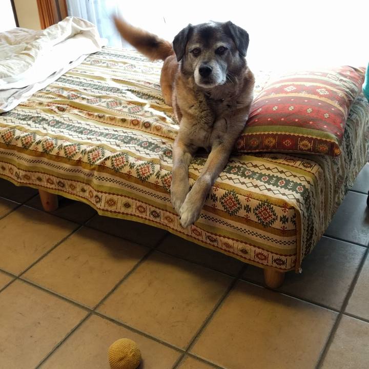 471be256 3cb2 4bf1 922d 1ec5a4472a5d 1520809730814