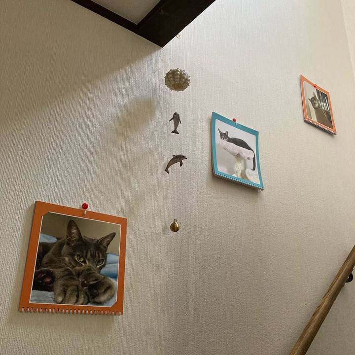 471be82b 55ae 42c2 af0c 8908549da404 1627005295003