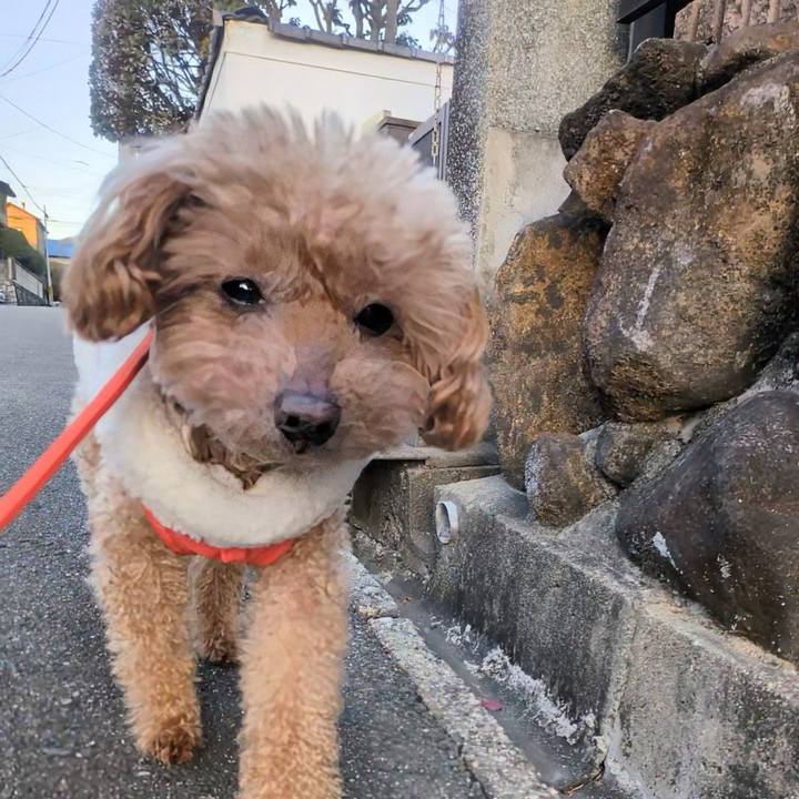 471c2fb5 ea5d 4bb1 bddc f6b140fecc04 1769130223143