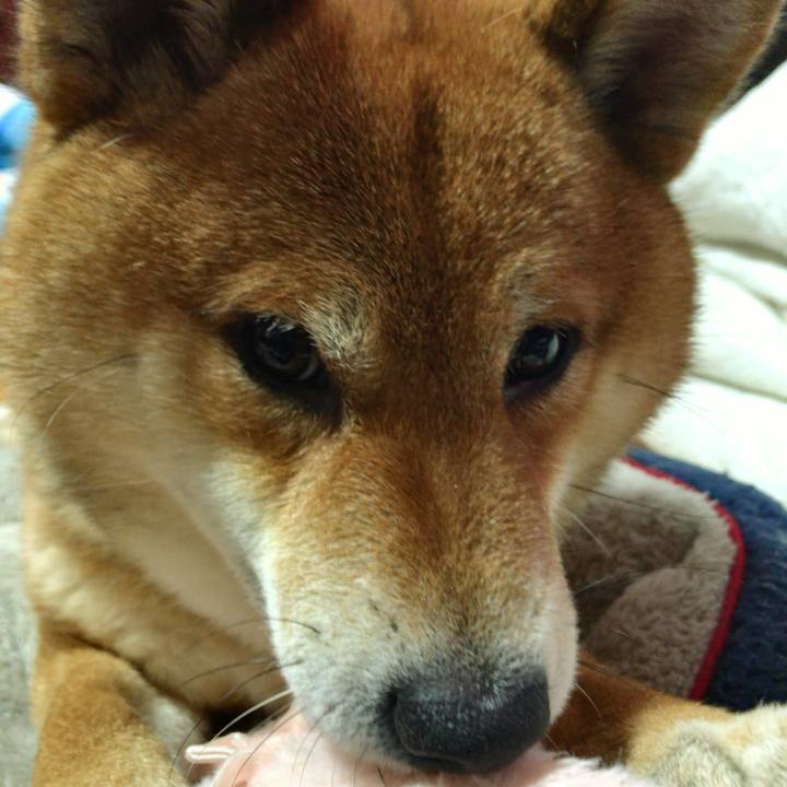 471c412c e25c 4c37 a4e4 b3ebca12bf8c 1581593699020