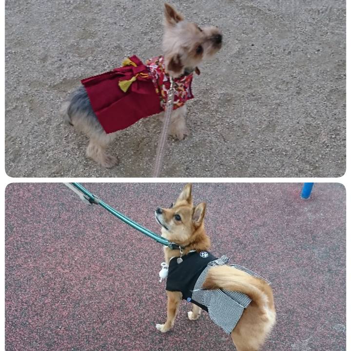 471c4311 dd0b 49b5 94ff 2a25b1427ce2 1546336098412