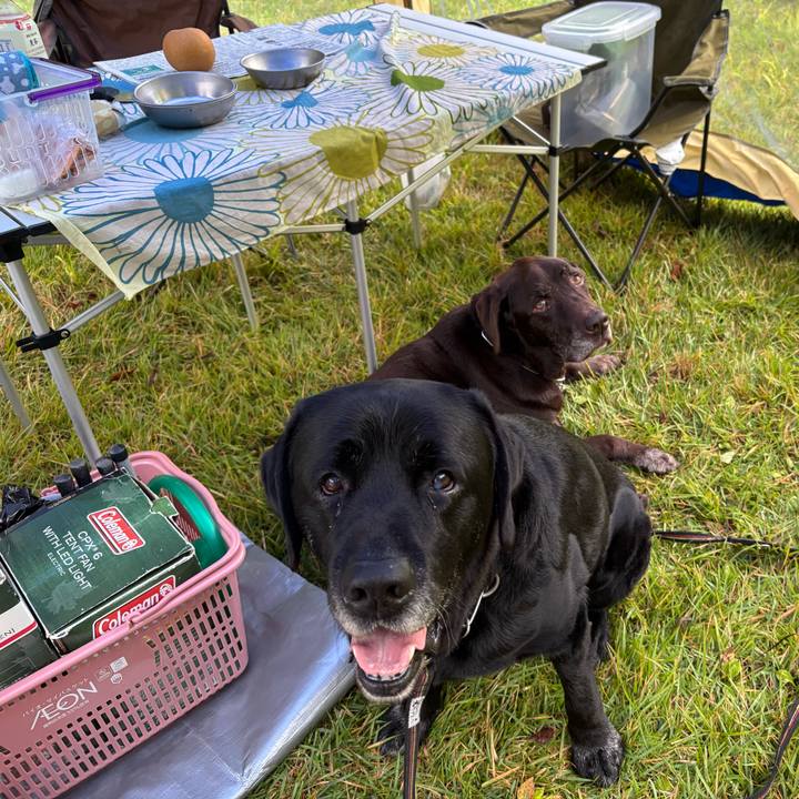 471c4542 7944 4f3e 88fd bd260acf3057 1757758229565