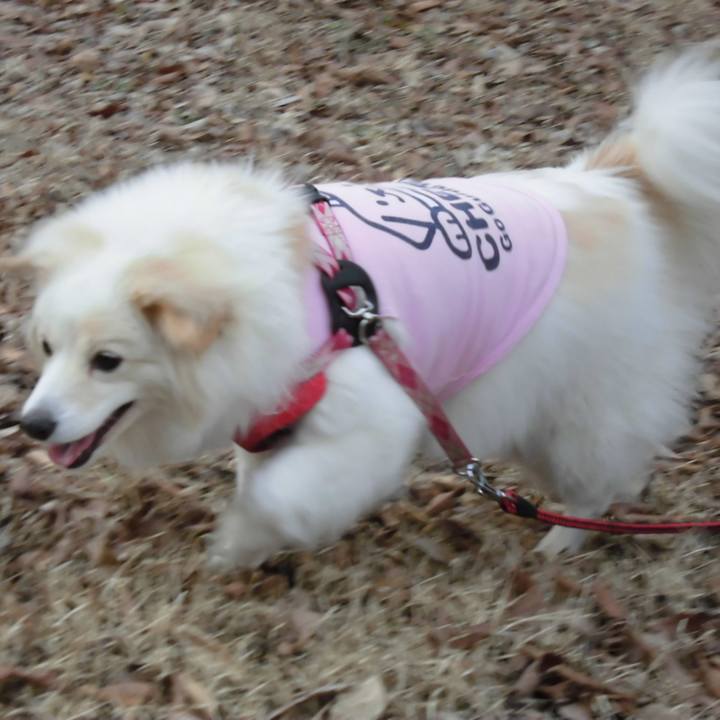 471c45b9 6559 41be 8160 df2e7a8df040 1644681271247