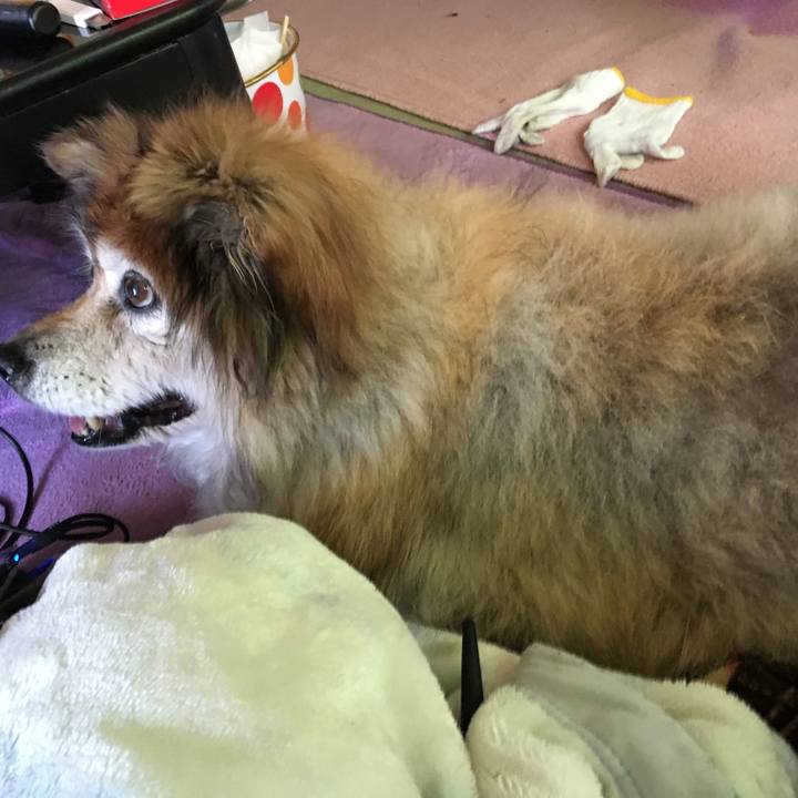 471c5201 0f5c 4a4d 900b 1335ff5ff92a 1592109892880