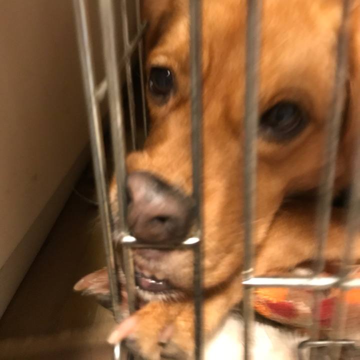 471ca462 7f5d 430f bd28 343dd4e655ea 1549624228447