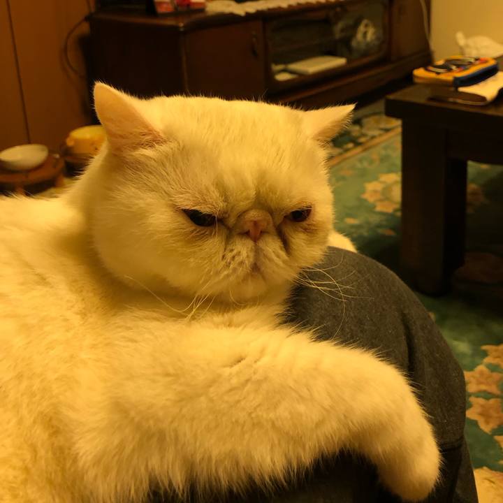 471cb62f d01f 4041 9af7 e13b79f6c015 1641215966427