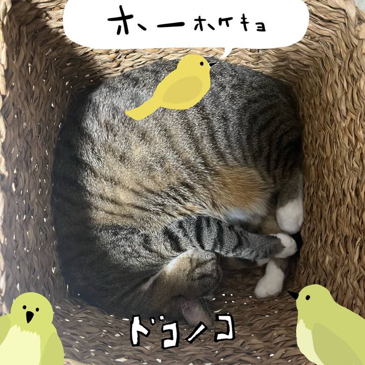 471cc3dc 2459 4102 863f 22dfe0d6810e 1711539255291