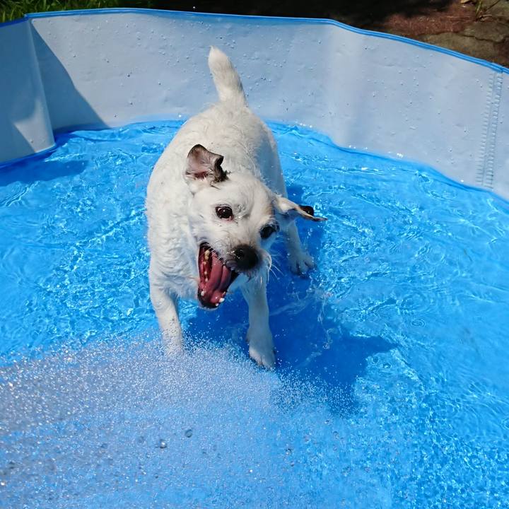 471cc836 67ba 4043 bf71 83152748ecb8 1565220601715