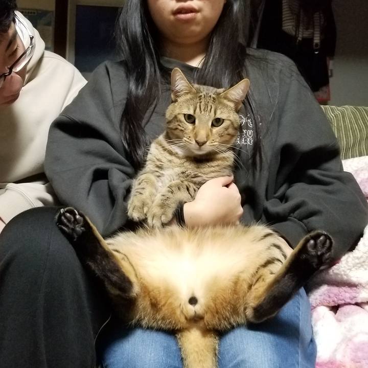 471d22b2 fc49 452c 9d49 51886f3af46a 1644669448455