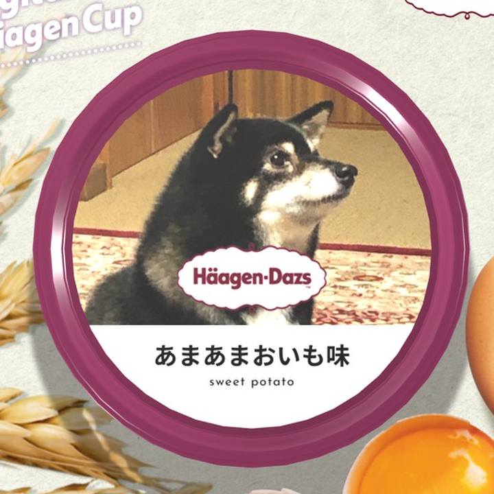 471d8381 93f0 4131 aab1 2a29ed07d040 1607995248822