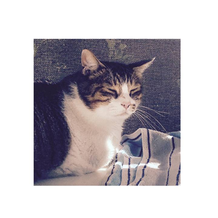 471d9fd8 be33 430e 8948 e4a43f44c37d 1632820319029