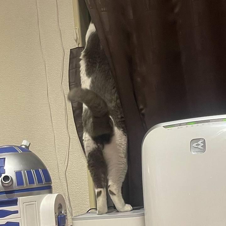 471e83ff 5a06 41fb 9946 07eab18d6a2d 1656588344267