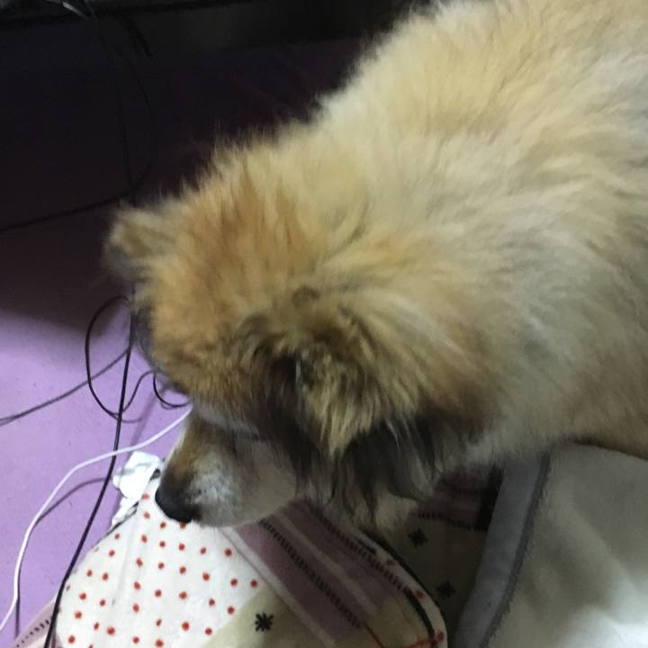 471e92bd 75ac 4176 9b5a 6290b7a29cfa 1595789499850