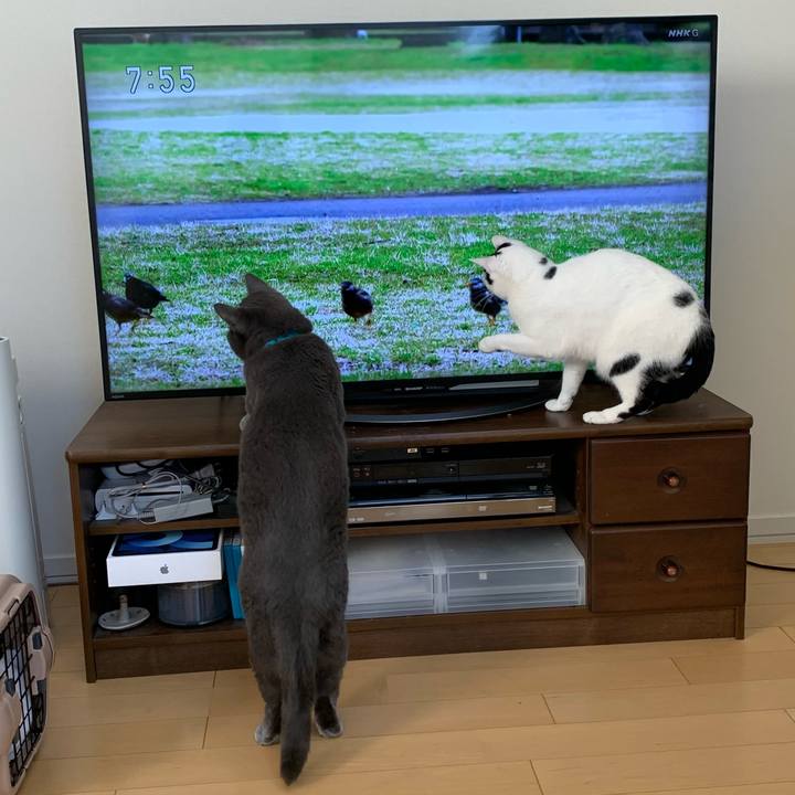 471efa19 212d 4bf1 b303 0cbfb10a2837 1618095729455