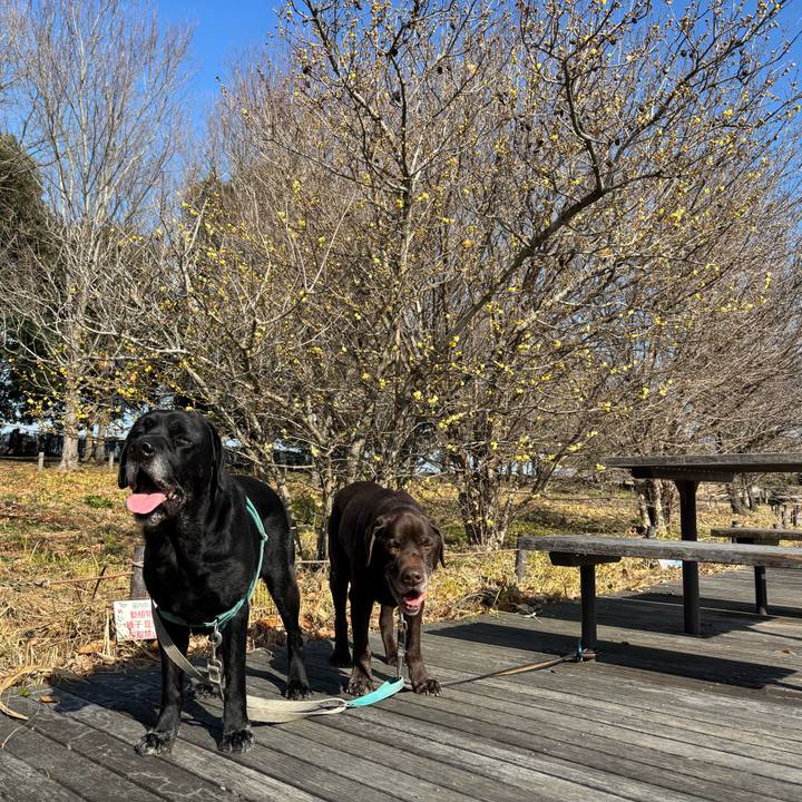 471f16ef 4763 4edc a11b 66613ccec928 1768731675614