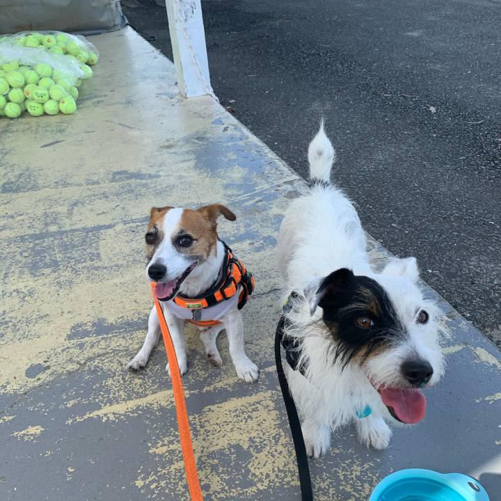 471f5cd4 fc83 45f7 968f ce5d24228c0f 1569203341819