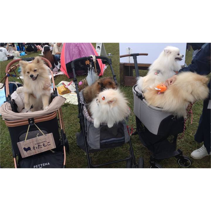 471f7961 a56e 417f ab97 e38ac43b7173 1760349981161