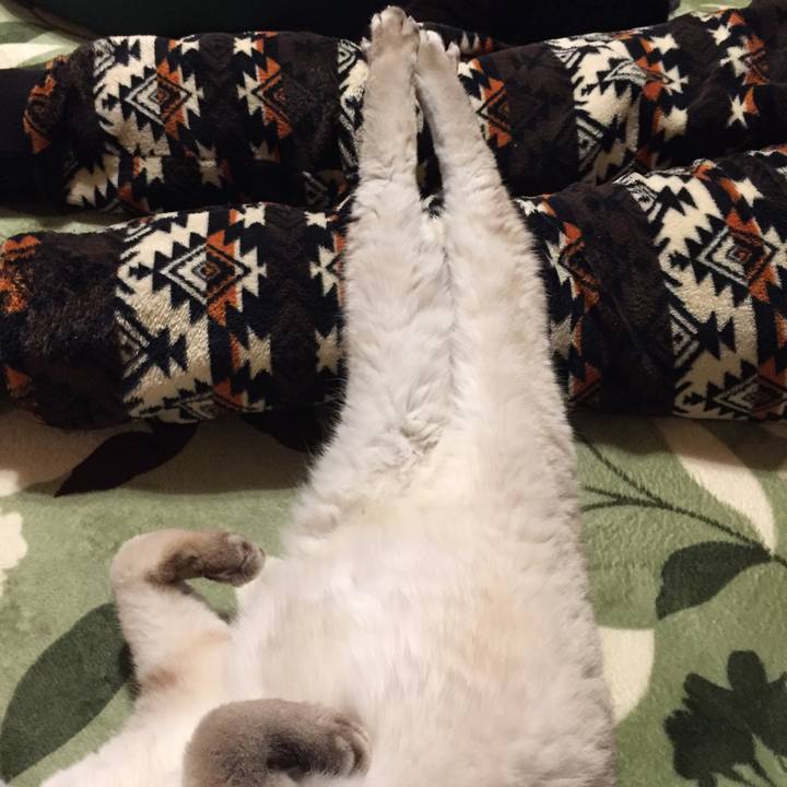 471f9874 301b 42a5 975b 255bf22c0561 1582371436958