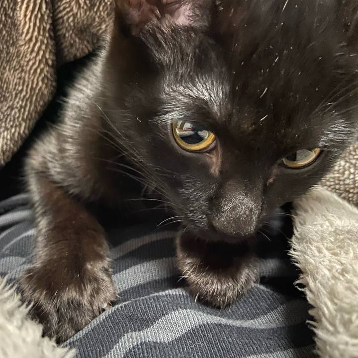 47204eb7 8ea6 45ea b28d 2de6d2ee59ce 1615720597478