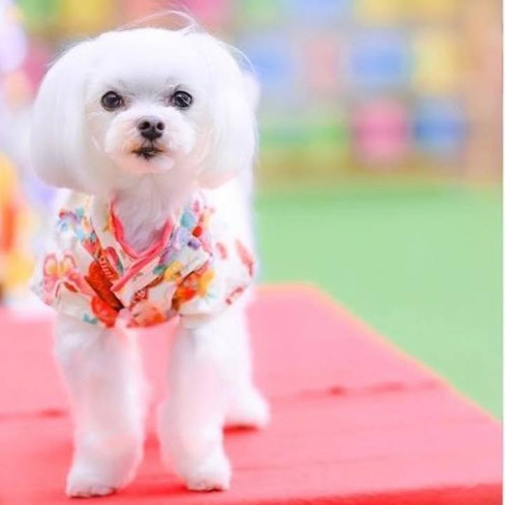 47208cae ae94 4813 a254 a66310a3776a 1659222518814