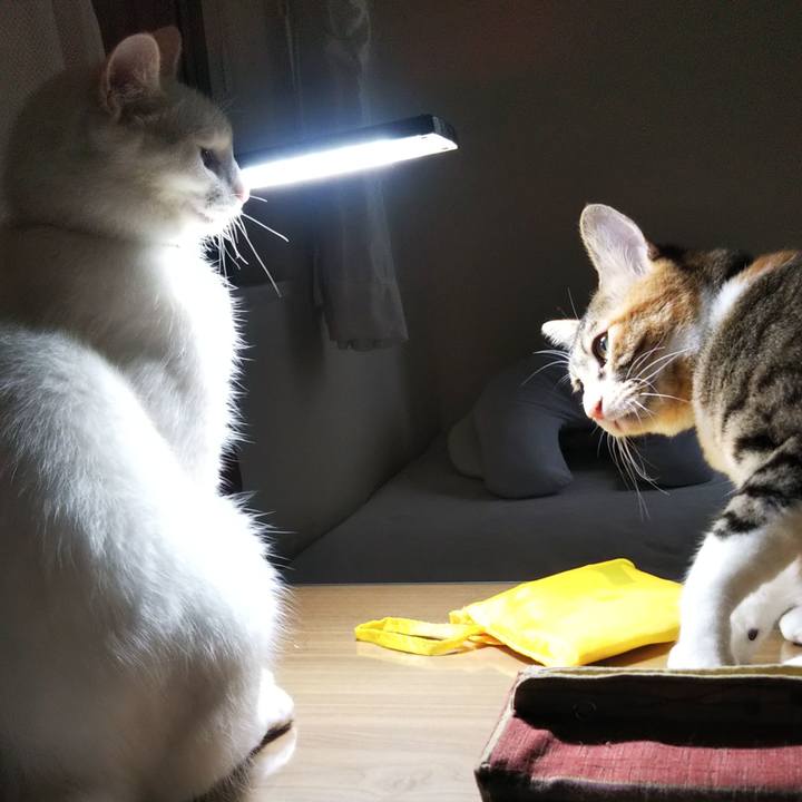 4721255c 65d9 4fea a02d ad5126e1dad4 1661036987397