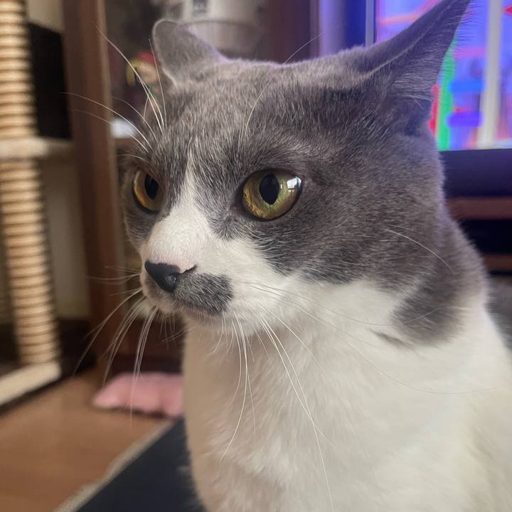 47212f0e 500a 4086 909e aa597c2384f2 1696398588720