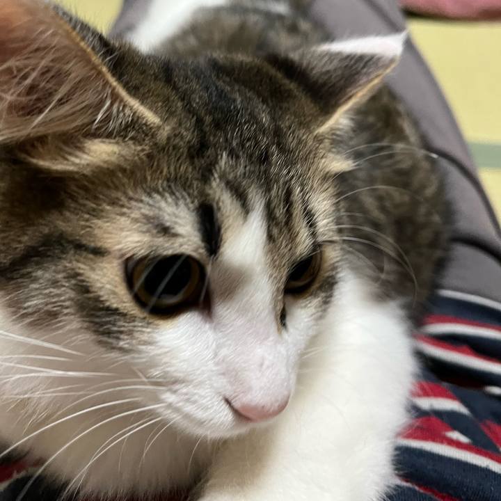 47213672 4312 4ba2 aba6 67b173f13c15 1696995337503