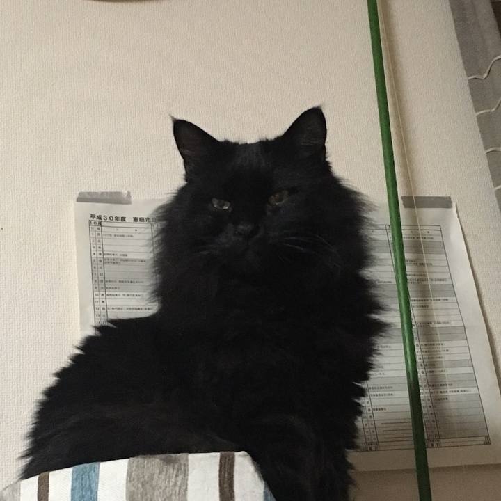 472146b8 9efb 4238 aebe 8c2f92b8deb2 1544186703865