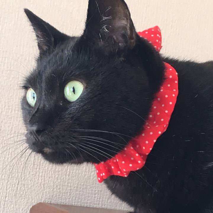 472184c4 e0eb 4911 803a a396c5df1d3b 1536368772090