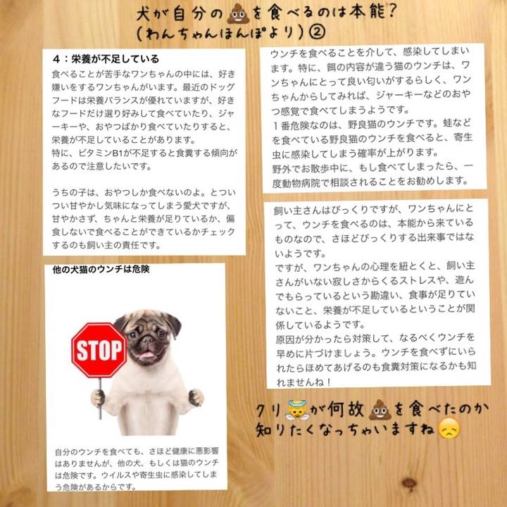 47222253 dab9 4bae a615 df24dbe5314d 1525685792353