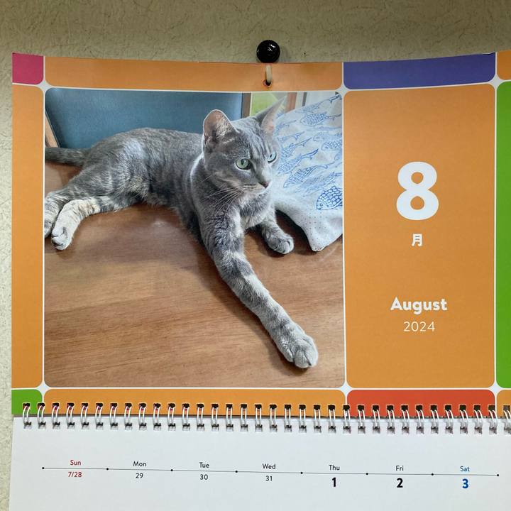 47225c82 25af 4d89 ac35 fc4572f5a930 1722521405965