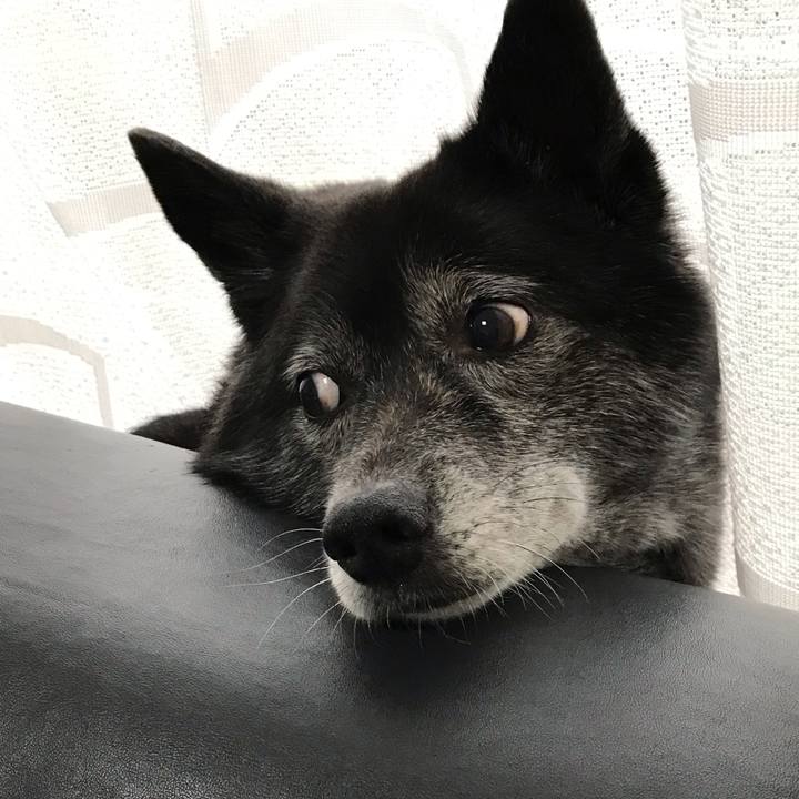 4722b855 6cf1 4c9c bb1d dd273ffc1479 1567386000631