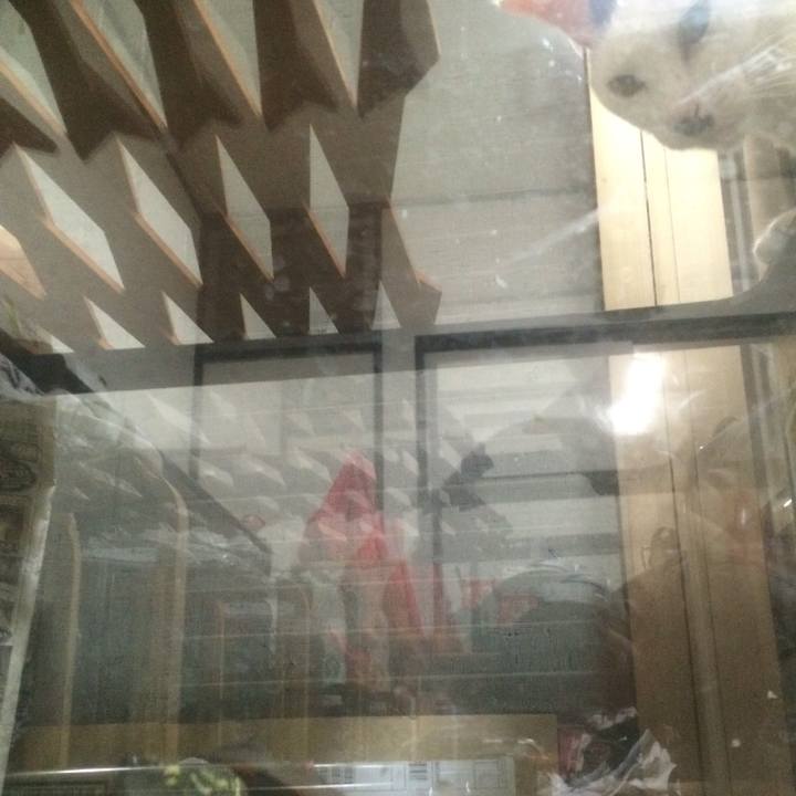 4722ce3b 2f4a 47b0 9b46 71f8e3a6b611 1559304085370