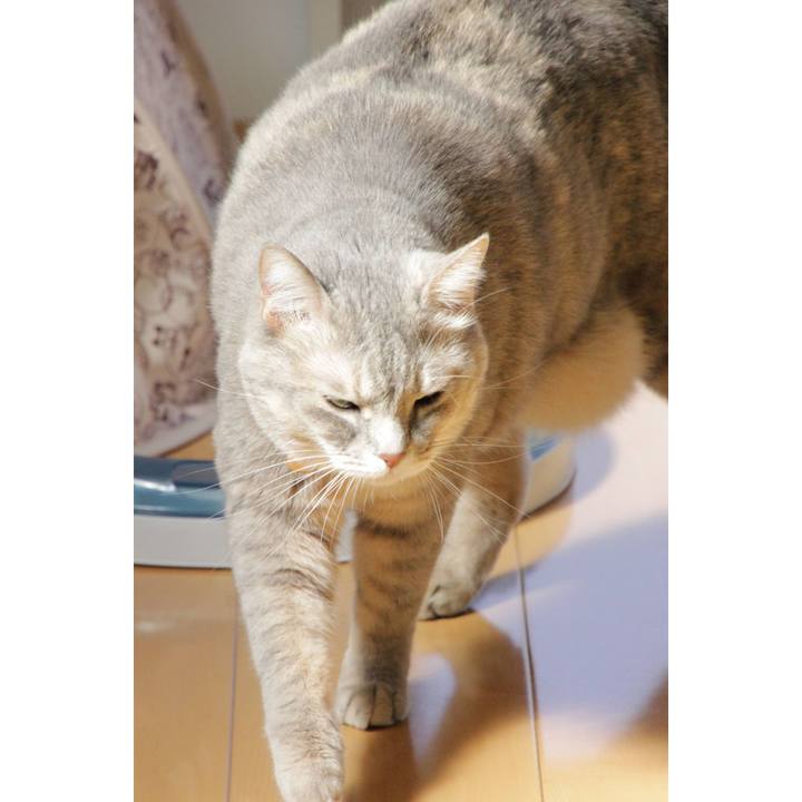 47233aba b295 4463 8cb2 1784fdd143c4 1635258542824