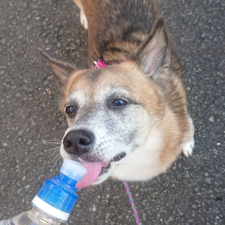 47235829 ffc3 44b3 871f 5d9249cb0fb2 1510193209828