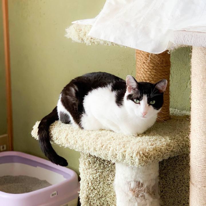 472364cc 59b5 4872 90c0 2ae50acdb5f3 1565921142704