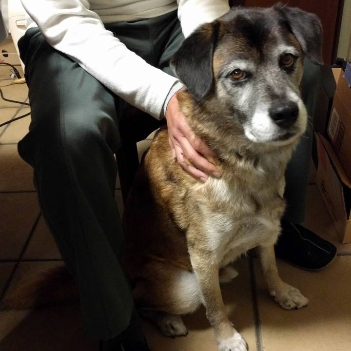 4723681f 8aa5 496f ab91 45cfd81ce29a 1512952162273