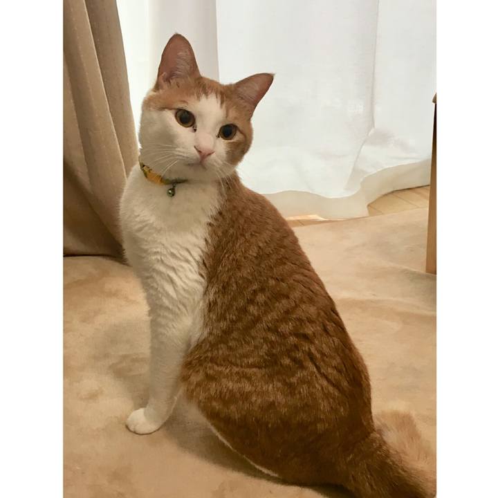 4723699e e208 4a6e a3c0 2746f0589687 1521670009399