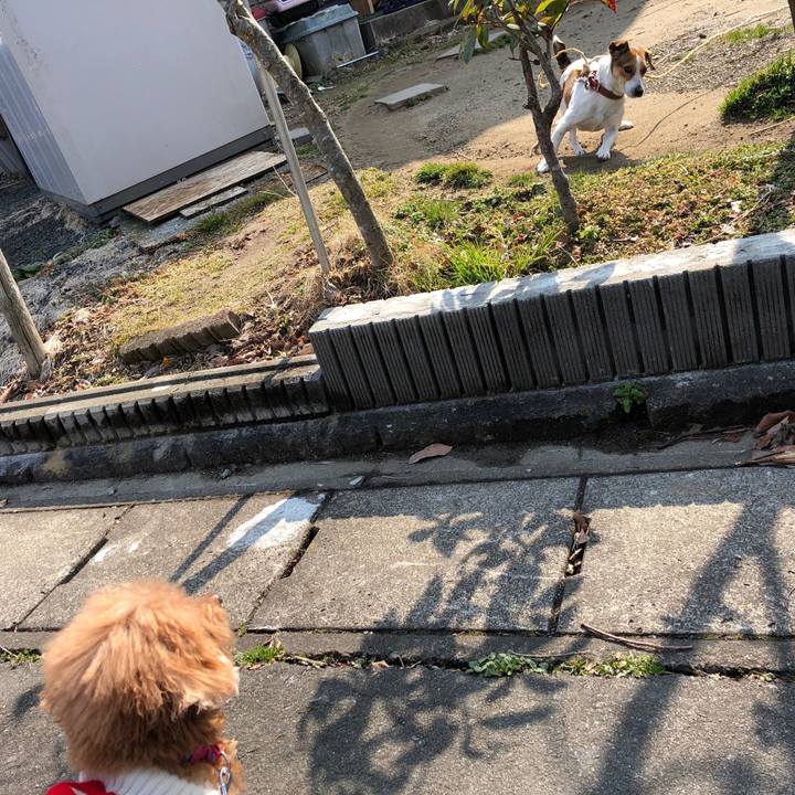 472370c2 dd54 44a0 a630 b8b7900f8633 1551788190163