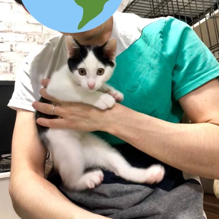 47239a9a 6cb0 437e 9930 c9957b5038ed 1630512017059