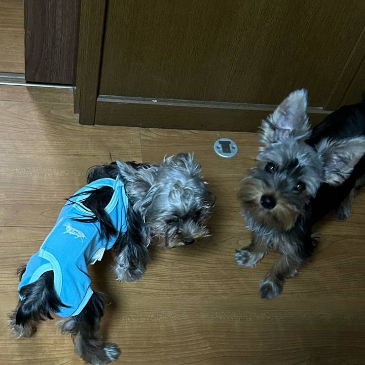 4723d1af 8ae4 4036 ad0c 43ad9a01719e 1723348434471