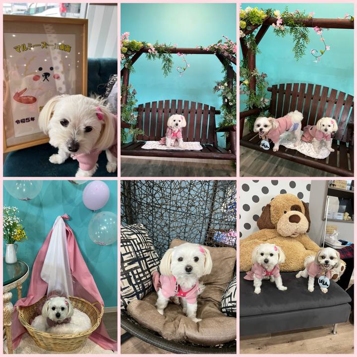 4723df7a f824 44f9 b951 c91cf9cabbdb 1678009337776