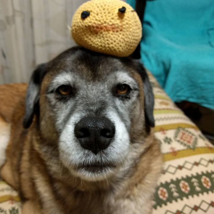 4723edaf 4ffb 4302 a1c2 99d340af783a 1511783427896