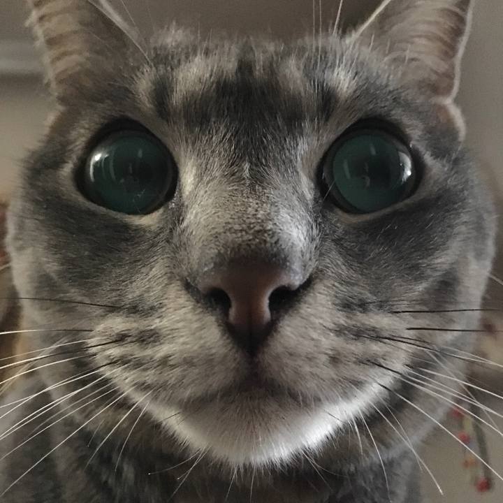 472441fa 4ed9 49c6 a5a0 4a7198bd1b48 1527340642366