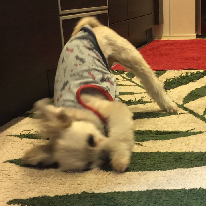 47247108 c73d 4a10 a977 596dda61c203 1544110183790