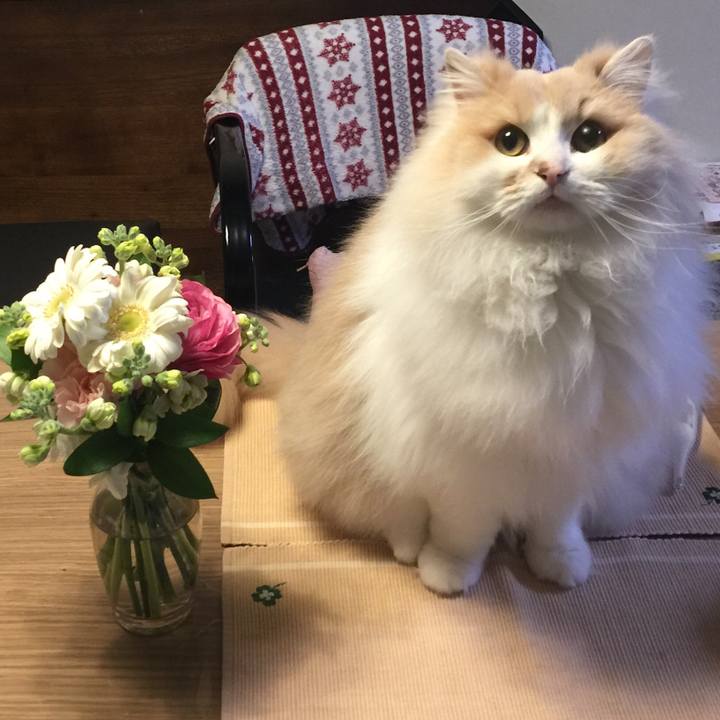 472486e4 1fb7 4d24 bdfe 24ede4533954 1550640207301