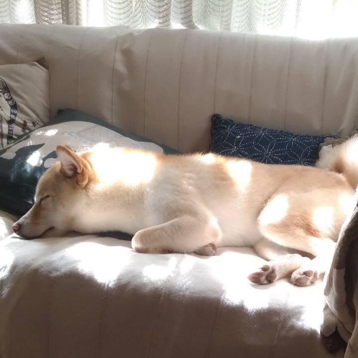 4724990e 7129 4673 8ed8 88d08c711cf7 1536196552760