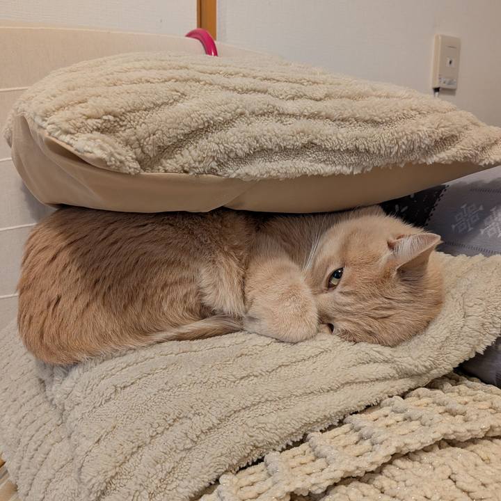 4724efc7 5c31 4f9a adb3 5a290f2549c3 1773309793244