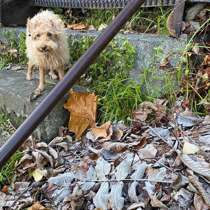 4724f885 3640 43a9 a753 a918a79d63a5 1637188865336