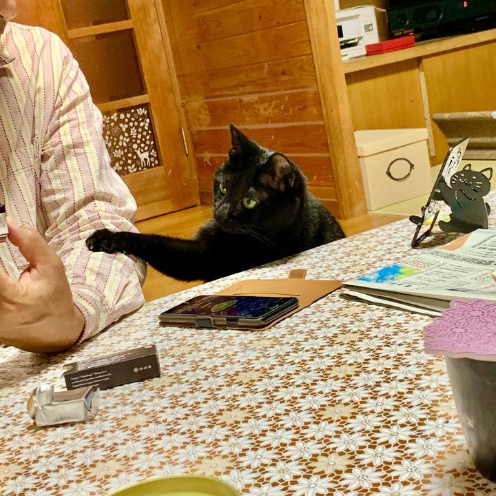 47252ffa cb1c 4d0c 8ea0 b41c8110d8b6 1635332209988